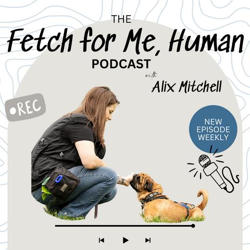 30. Taking a Reactive Dog to the Vet? Listen to this!