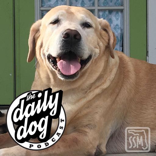 2020-02-13 Jack and Lauren Samples