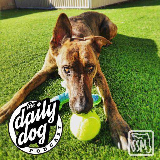 2020-02-12 Nova Prime and Marissa Stuart