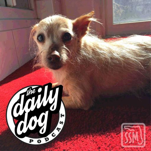 2020-02-09 Fudge and Diane Xuereb