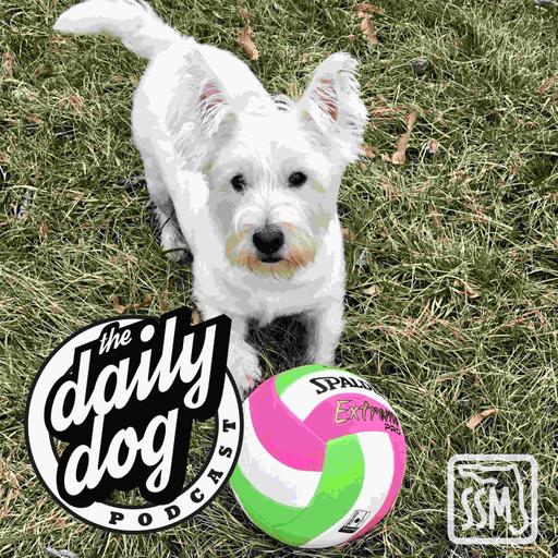 2020-02-10 Reggie and Jen from Our True Crime Podcast