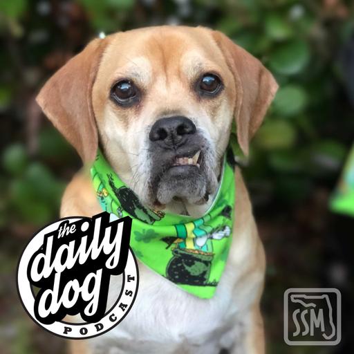 2020-01-29 Poncho and Joel Lounds