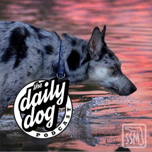 2020-01-23 Jake and Jennifer Campbell-Smith