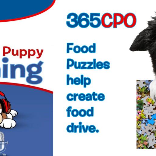 Why you should use food puzzles in your puppy's training!