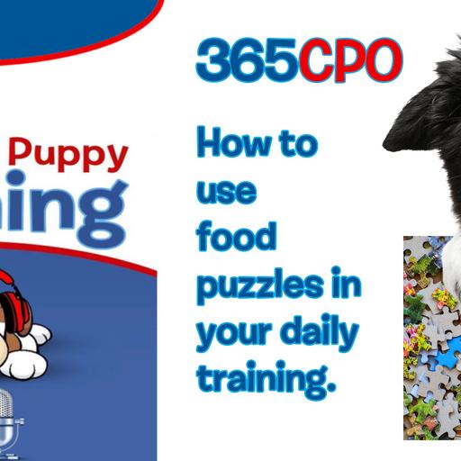 How to use food puzzles for your puppy training!