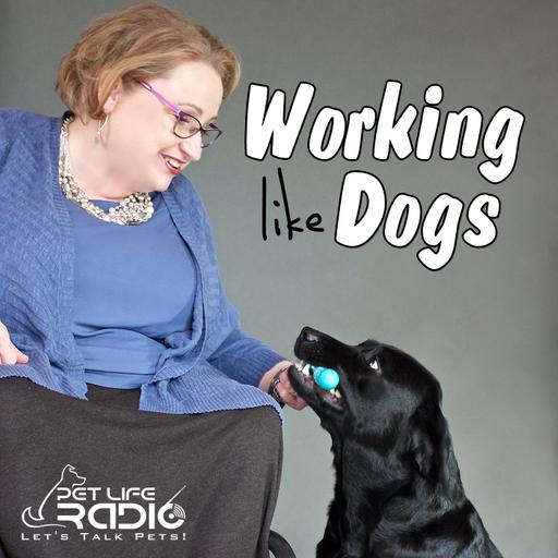 Working Like Dogs - Episode 183 Pet Partners and National Therapy Animal Day