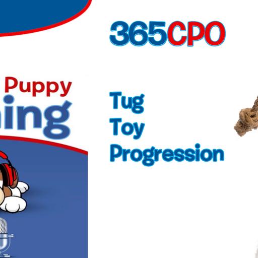 Tog Toy Progression and Teaching Good Habits from the Start