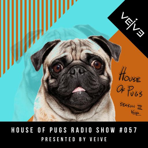HOUSE OF PUGS #057 my Gig in the Museum!