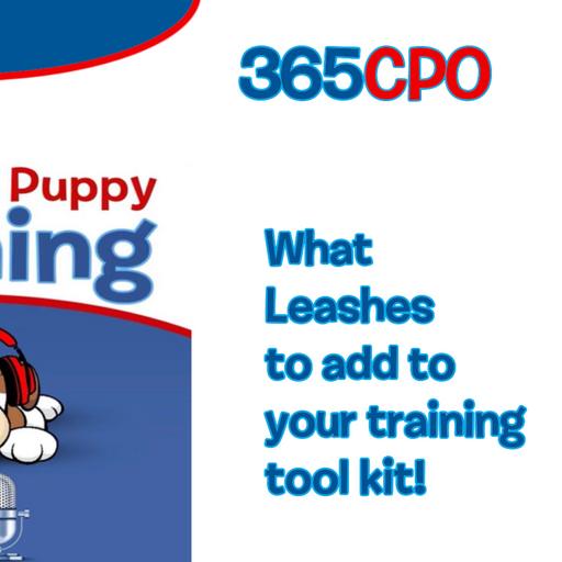 What Leashes do you add to your Training Toolkit