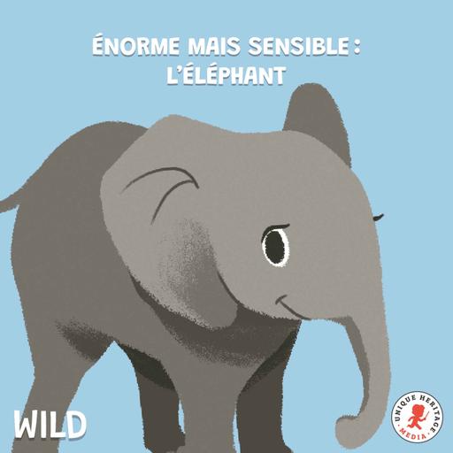 Énorme mais super sensible : l'Eléphant