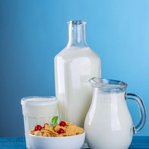 Lattosio, Intolleranza al Lattosio ed Alimenti Senza Lattosio - Tutto quello che c'è da sapere