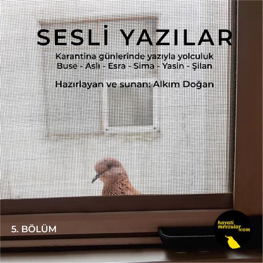 Sesli Yazılar V