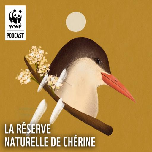 La Réserve Naturelle de Chérine