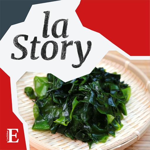 Les algues à la conquête de la table