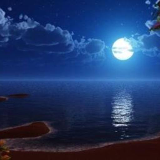 “Trăng khuya”: Ấm áp tình cảm mẹ chồng nàng dâu