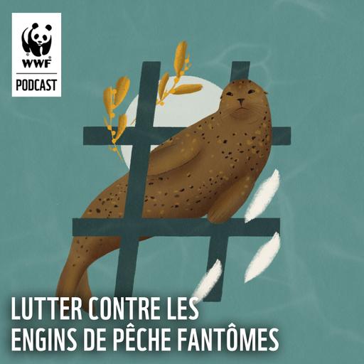 Lutter contre les engins de pêche fantômes