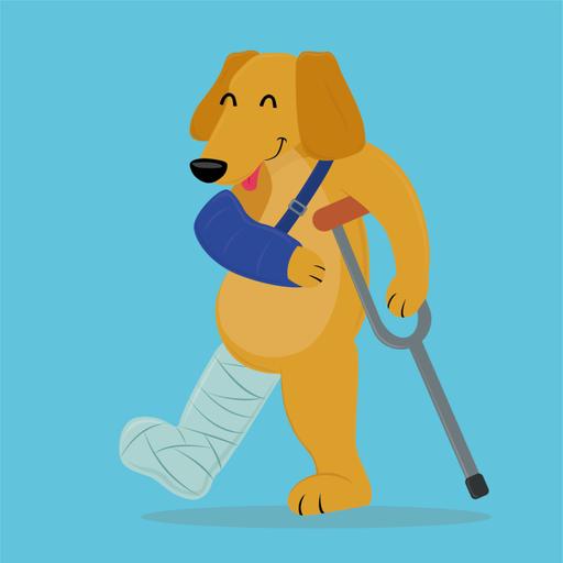 Fisioterapia y rehabilitación para mi Doggy T2:E2