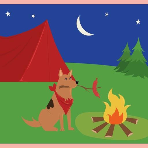 E13: ¿Cómo hacer camping con mi Doggy?