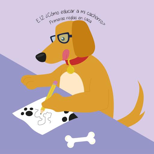 E12: ¿Cómo educar a mi cachorro? Invitado: Manada k9