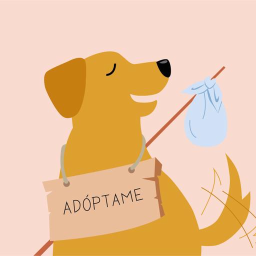 E11: ¿Cómo adoptar responsablemente? Invitado: Adopta Monterrey