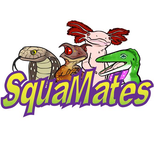 SquaMates Ep. 21: Bachia to the Future