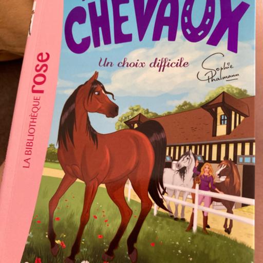 ´Mes amies les chevaux - un choix difficile