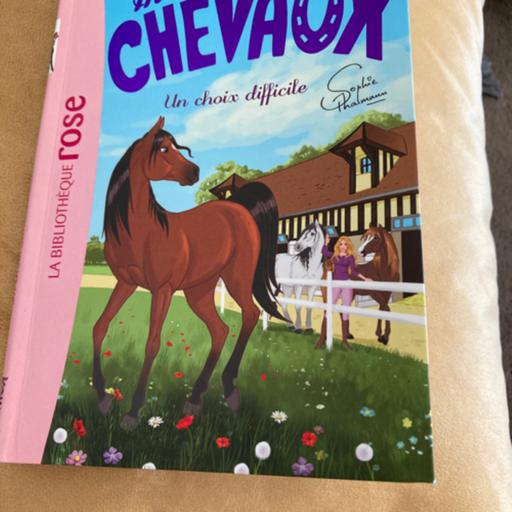 Mes amies les chevaux - un choix difficile