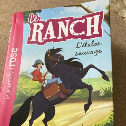 Le ranch - l’étalon sauvage