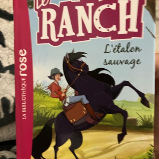 Le ranch - l’étalon sauvage