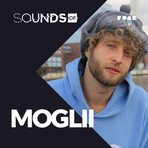 Moglii: Klimaschutz & Alltagsflucht