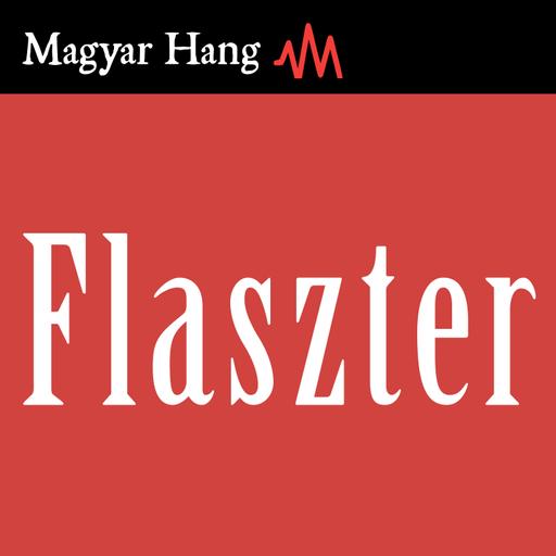 Flaszter 141. – Bayer Zsolt szívszorító üzenete