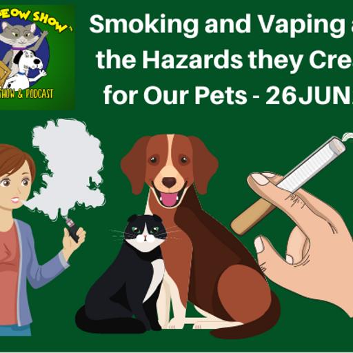 Smoking and Vaping and the Hazards they Create for Our Pets