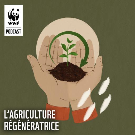 L'agriculture régénératrice
