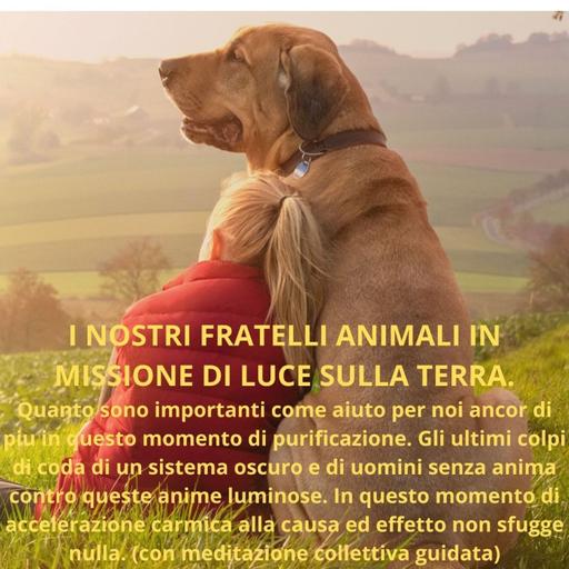 I NOSTRI FRATELLI ANIMALI IN MISSIONE DI LUCE SULLA TERRA.