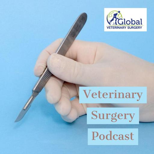 Cat ear issues and checklist manifesto with Dr. Ameet Singh