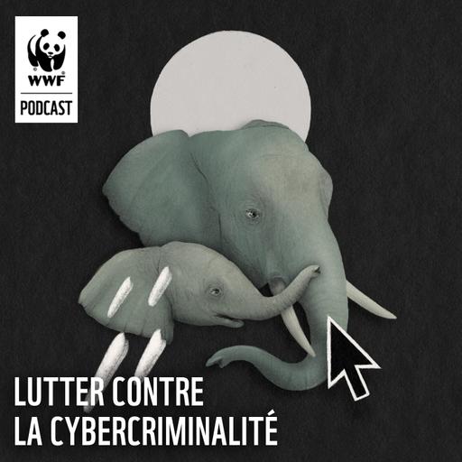 Lutter contre la cybercriminalité