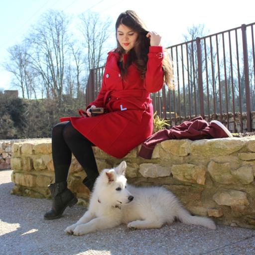 Pourquoi je n'ai pas éduqué mon chien.