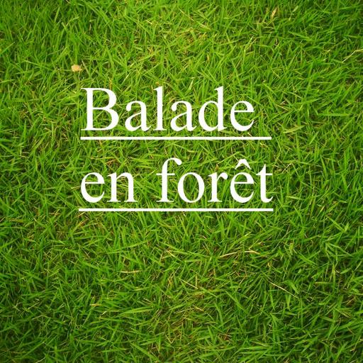 Balade En Forêt
