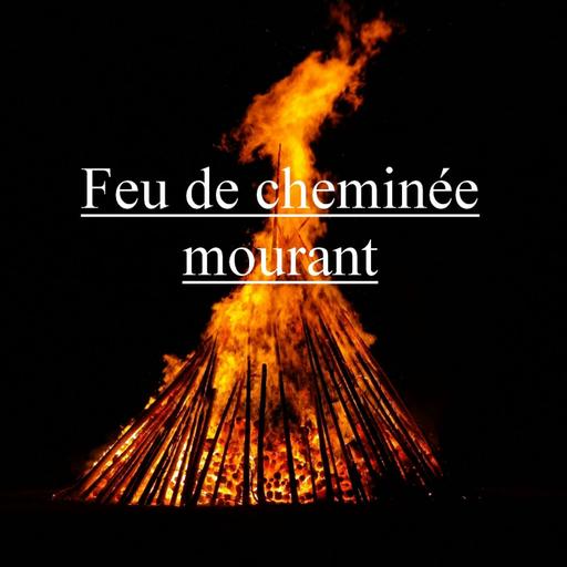 Feu De Cheminée Mourant