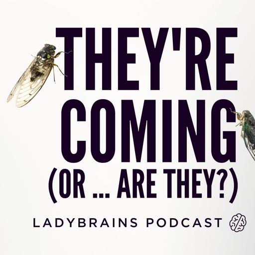 E208. Bethany Is a Cicada Truther and You Probably Should Be Too