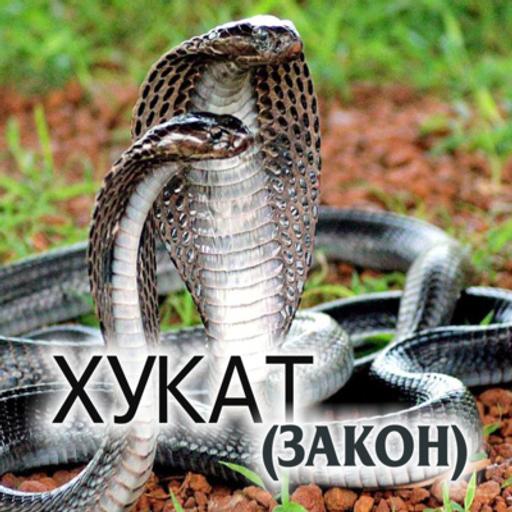 39. Хукат — Бемидбар (Числа) 19:1-22:1