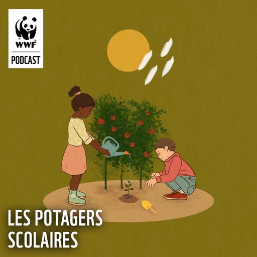 Les potagers scolaires
