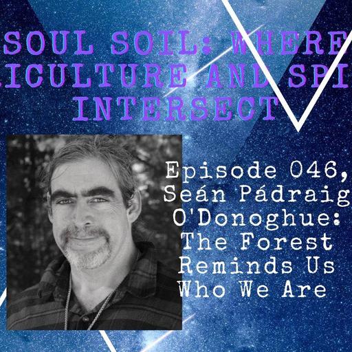 046, Seán Pádraig O'Donoghue