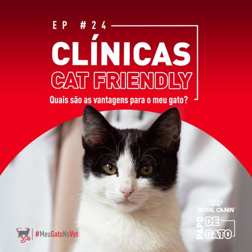 Vantagens das Clínicas Cat Friendly para meu gato