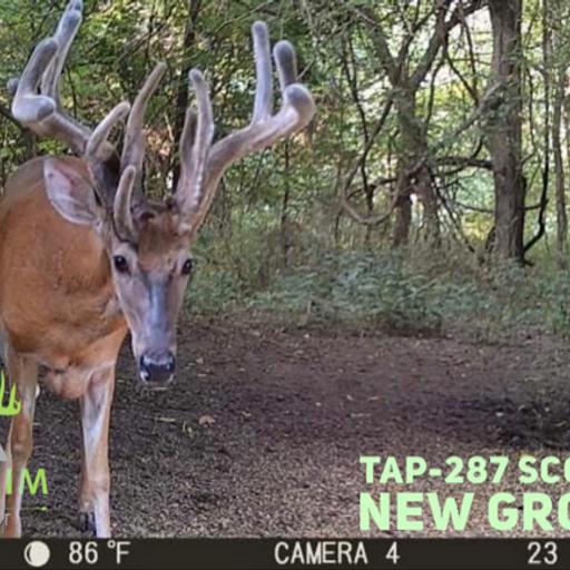 TAP - 287- Summer scouting new ground w/Blake Garrett