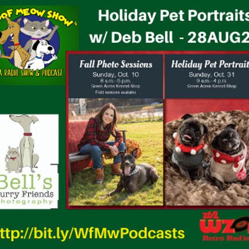 Holiday Pet Portraits with Deb Bell from Bell’s Furry Friends Photography