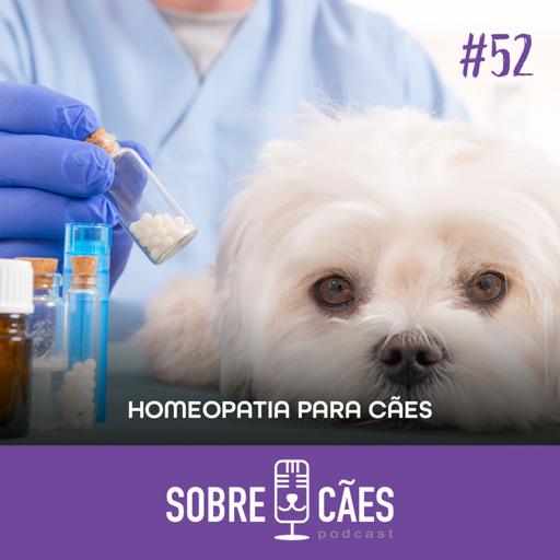 Homeopatia para Cachorros - Podcast Sobre Cães