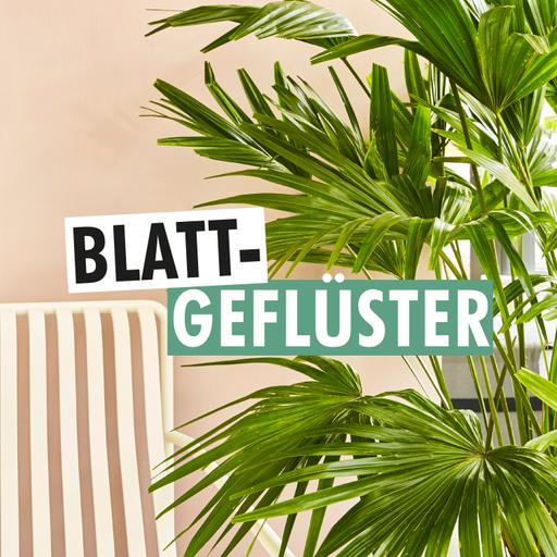 #5 Pflanzen für die Seele mit Lara Leonie Keuthen
