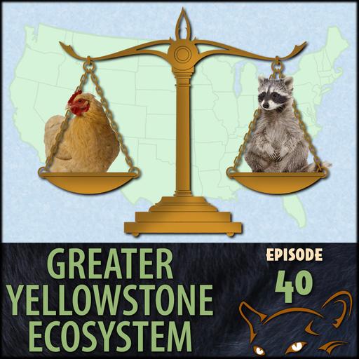 Episode 40: Wildlife Law and Accreditation