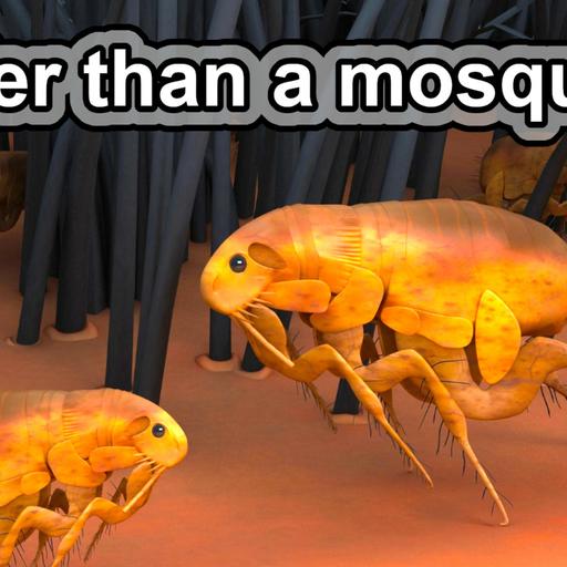 This animal is GROSS! | 5 Flea Facts #shorts